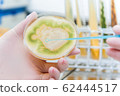 taking microbiological samples 62444517