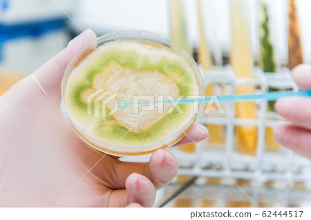 taking microbiological samples taking microbiological samples 62444517