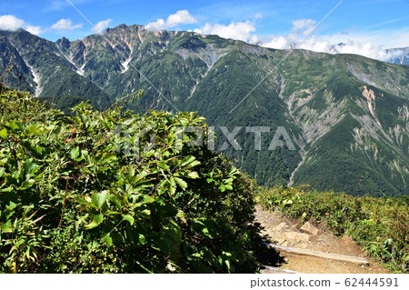 Summer Hakuba Goryu Ski Resort Mountain trails and superb views of the Northern Alps 62444591