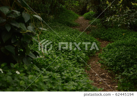 野獸的方式 62445194