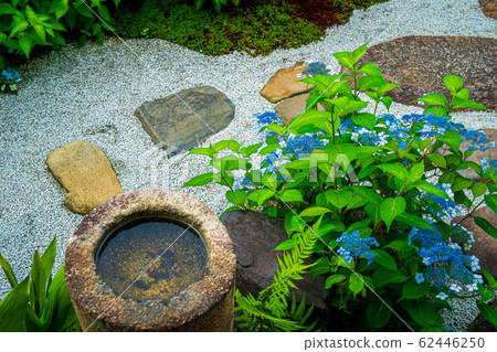 Kyoto City Higashiyama Ward Kenninji Temple Temple · Spirituality Hospital Photographed sweet garden 62446250