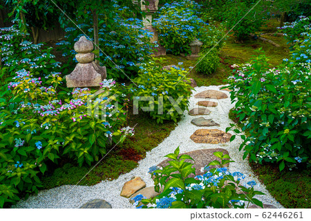 京都市東山區Kenninji寺廟·靈性醫院拍下甜蜜的花園 62446261
