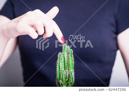 Female hand with red nail polish and green cactus 62447200