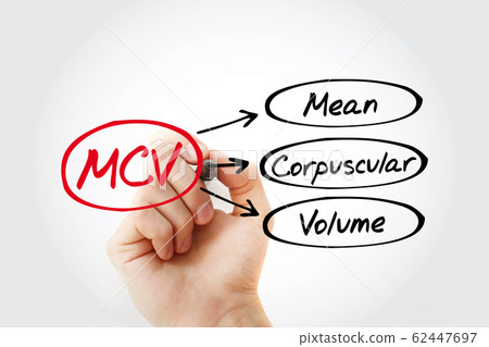 MCV - Mean Corpuscular Volume acronym MCV - Mean Corpuscular Volume acronym 62447697