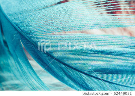 Beautiful Blue trends feather pattern texture Beautiful Blue trends feather pattern texture 62449031