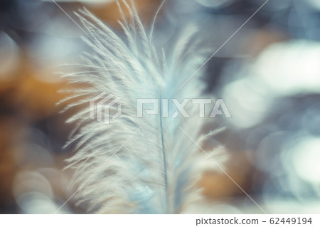 Close up Beautiful blue Bird feather pattern 62449194