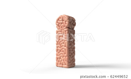 human brain in shape of letter i. 3D illustration human brain in shape of letter i. 3D illustration 62449652