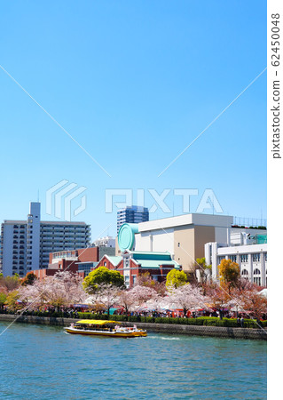 大阪櫻花造幣局 62450048