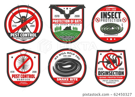 Mosquito, fly, spider or bat. Pest control service Mosquito, fly, spider or bat. Pest control service 62450327