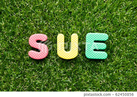 Toy foam letter in word sue on green grass background  62450856