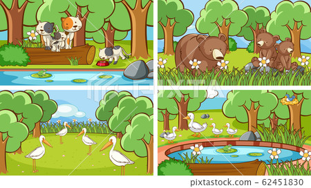 Background scenes of animals in the wild Background scenes of animals in the wild 62451830