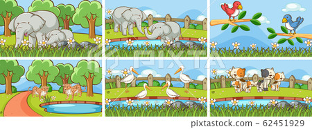 Background scenes of animals in the wild Background scenes of animals in the wild 62451929