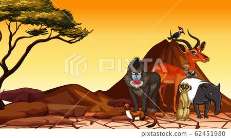 Scene with wild animals in the field 62451980
