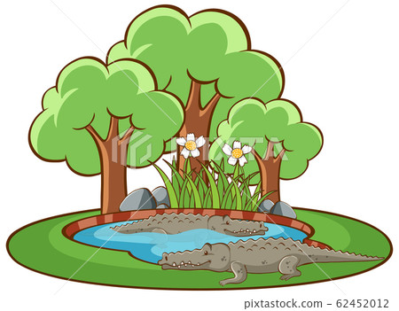 Isolated picture of two crocodiles in the pond Isolated picture of two crocodiles in the pond 62452012