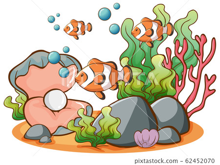 Clownfish swimming on white background 62452070