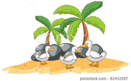 Ducks on white background Ducks on white background 62452097