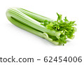 green celery sticks 62454006