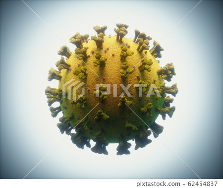 COVID-19 Coronavirus Infections Viruses 62454837