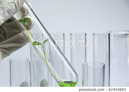 Researcher with glass laboratory chemical test Researcher with glass laboratory chemical test 62454893