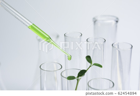 Researcher with glass laboratory chemical test 62454894