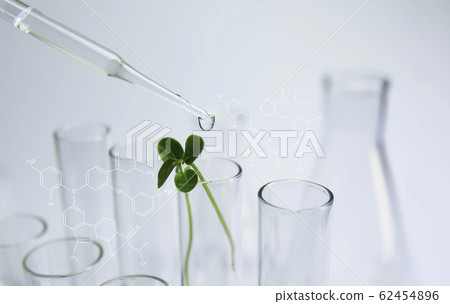 Researcher with glass laboratory chemical test Researcher with glass laboratory chemical test 62454896