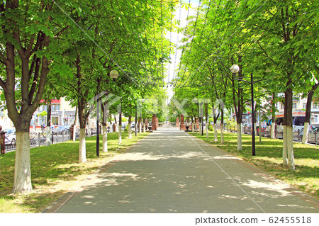People resting in park with benches and garlands. 62455518