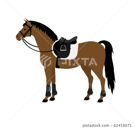 Vector flat bay horse with saddle and bridle 62458071