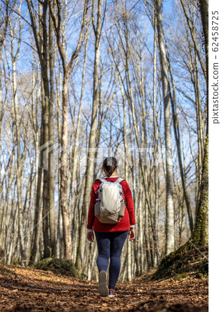 Pretty woman walking in the beech forest at Pretty woman walking in the beech forest at 62458725