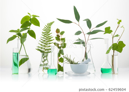 Scientific Experiment. Different herbs in test 62459604