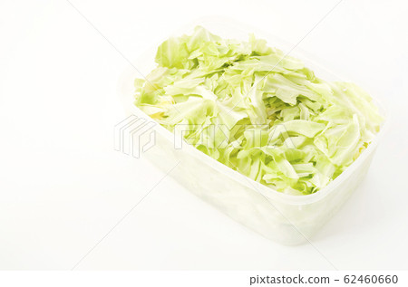 Shredded cabbage in storage container 62460660