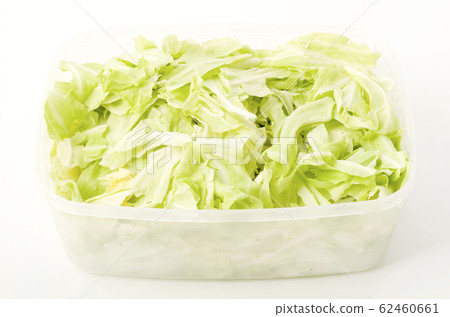 Shredded cabbage in storage container 62460661