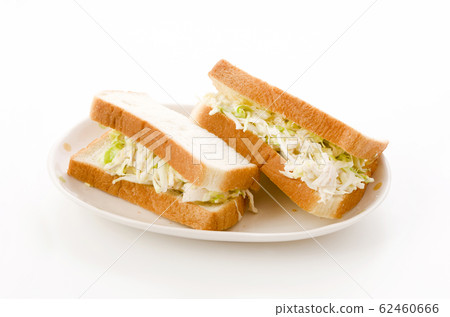 Boiled chicken and cabbage sandwich 62460666
