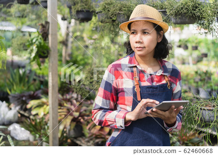 Asian woman is using a tablet to check the vegetation in the Ornamental plant shop 62460668