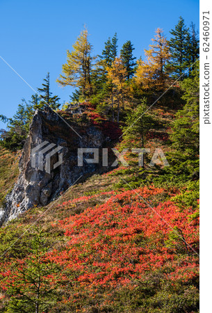 Peaceful autumn Alps mountain sunny view from 62460971