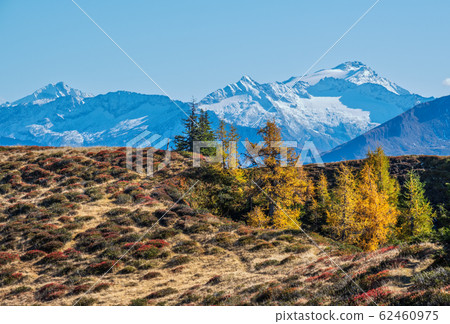 Peaceful autumn Alps mountain sunny view from Peaceful autumn Alps mountain sunny view from 62460975