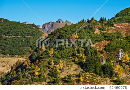 Peaceful autumn Alps mountain sunny view from Peaceful autumn Alps mountain sunny view from 62460978