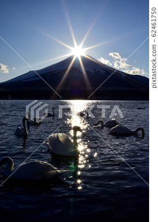Diamond Fuji from Lake Yamanaka Diamond Fuji from Lake Yamanaka 62461750