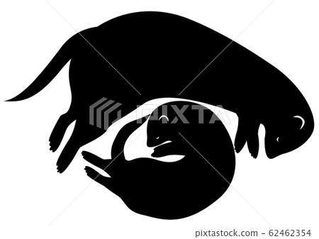 Silhouette Animal / Pet Ferret 11 Sleeping 62462354