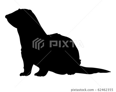 Silhouette Animal / Pet Ferret 0 Dignified 62462355