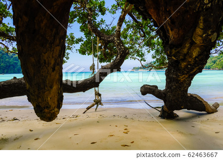 sea of tropical island, Surin island, Thailand sea of tropical island, Surin island, Thailand 62463667