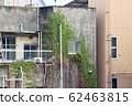 常春藤植物糾纏在建築物 62463815