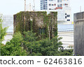常春藤植物糾纏在建築物 62463816