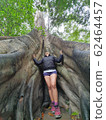 Giant three and girl without face in peru amazon jungle 62464457
