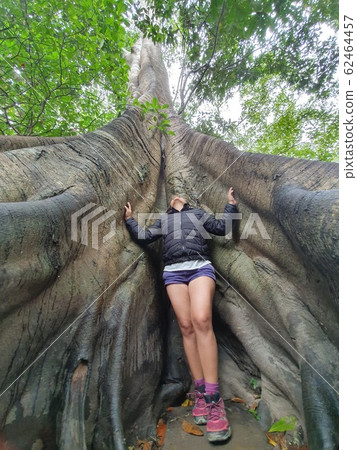 Giant three and girl without face in peru amazon jungle Giant three and girl without face in peru amazon jungle 62464457