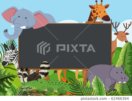 Blackboard template design with many wild animals - Stock Illustration ...