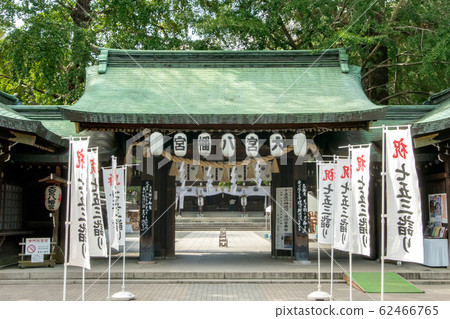Omiya Hachimangu Shrine 62466765