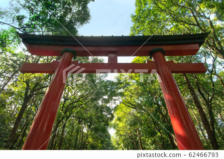 大宮八幡宮 62466793