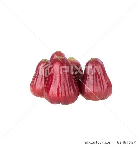 rose apple or rose apple fruit on the background 62467557