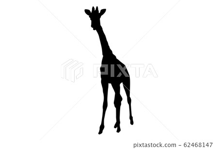 Animal silhouette zoo giraffe 4 Animal silhouette zoo giraffe 4 62468147