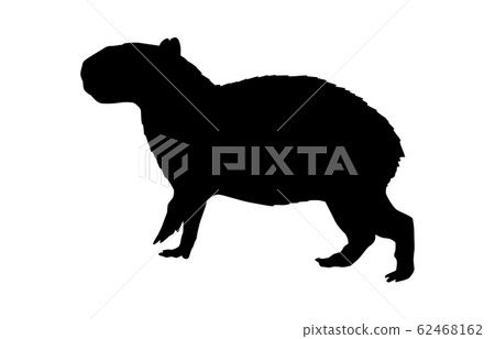 Animal silhouette zoo capybara 4 62468162